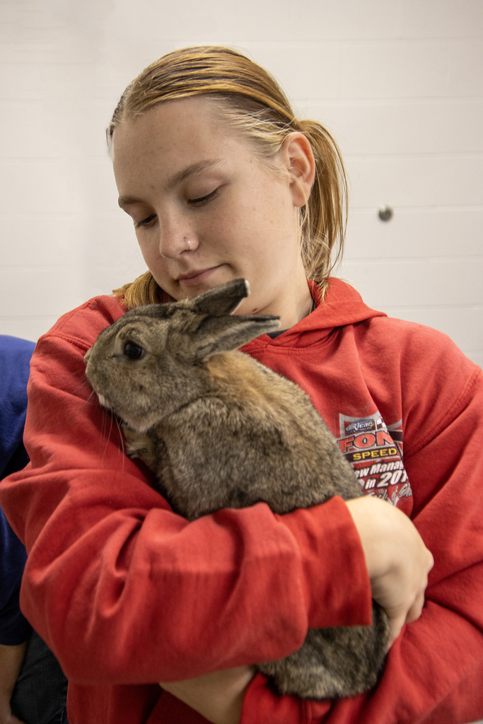 a student holds Autumn the rabbit