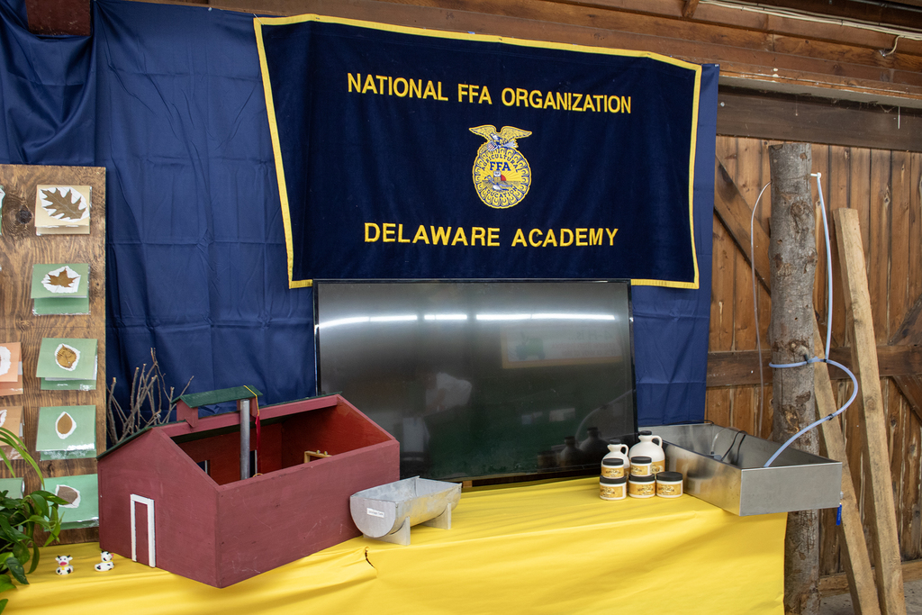 National FFA Organization Delaware Academy banner