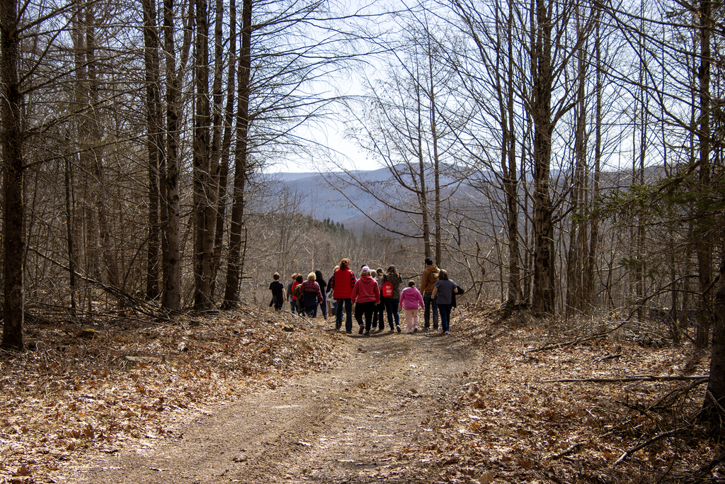 students and teachers walking on path in the woods