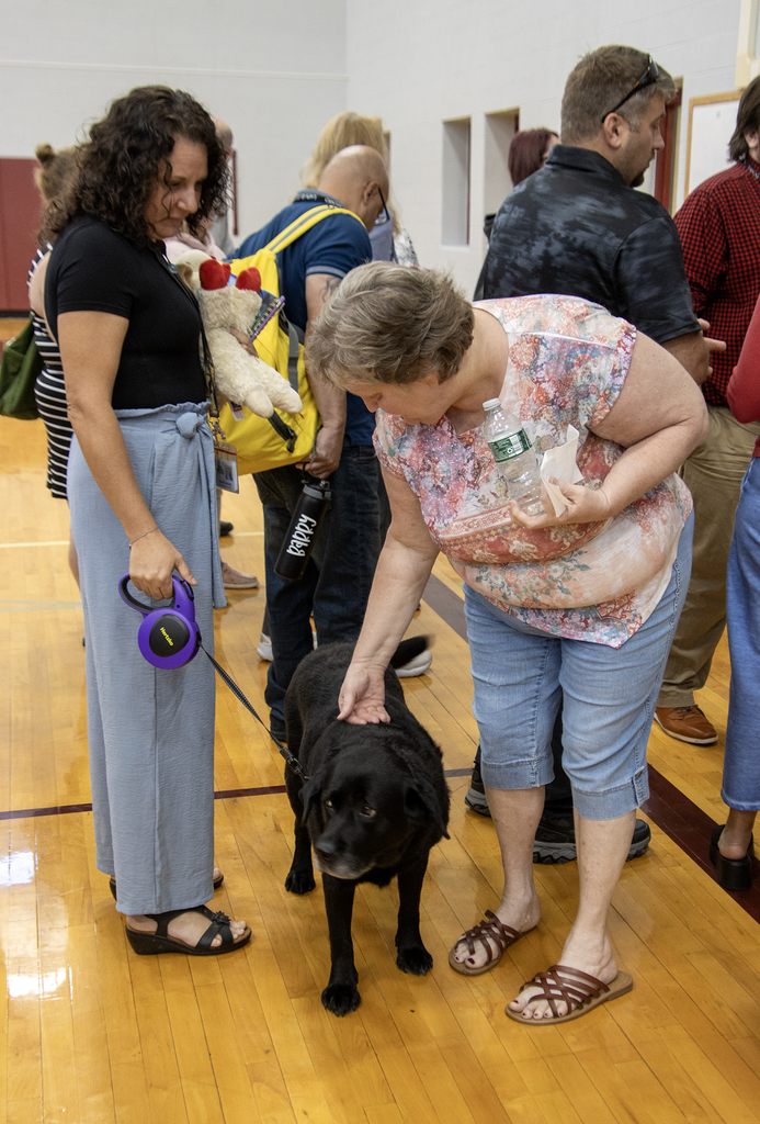 employee pets therapy dog