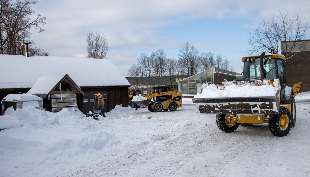conservation students moving snow outside maple building