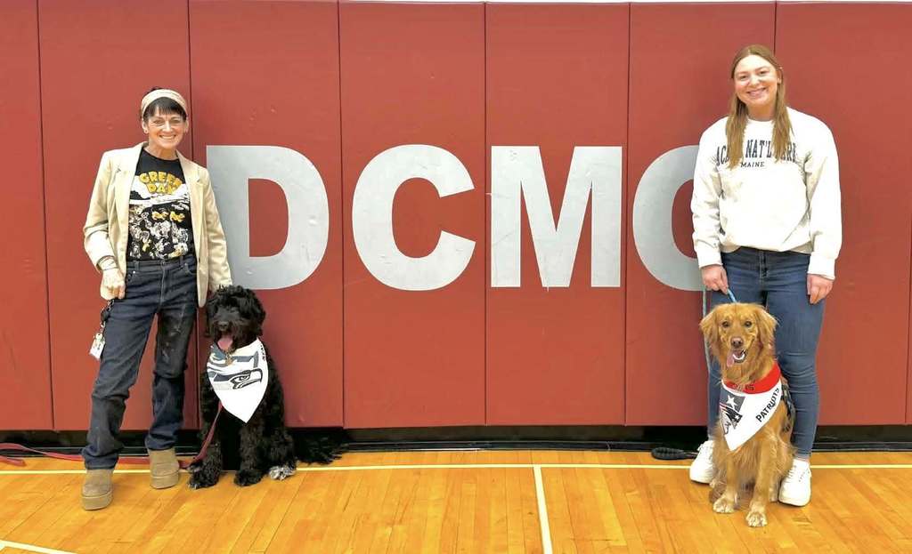 2 dogs wearing football team bibs with their handlers against the DCMO pads in a gym