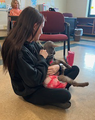 student with kid goat