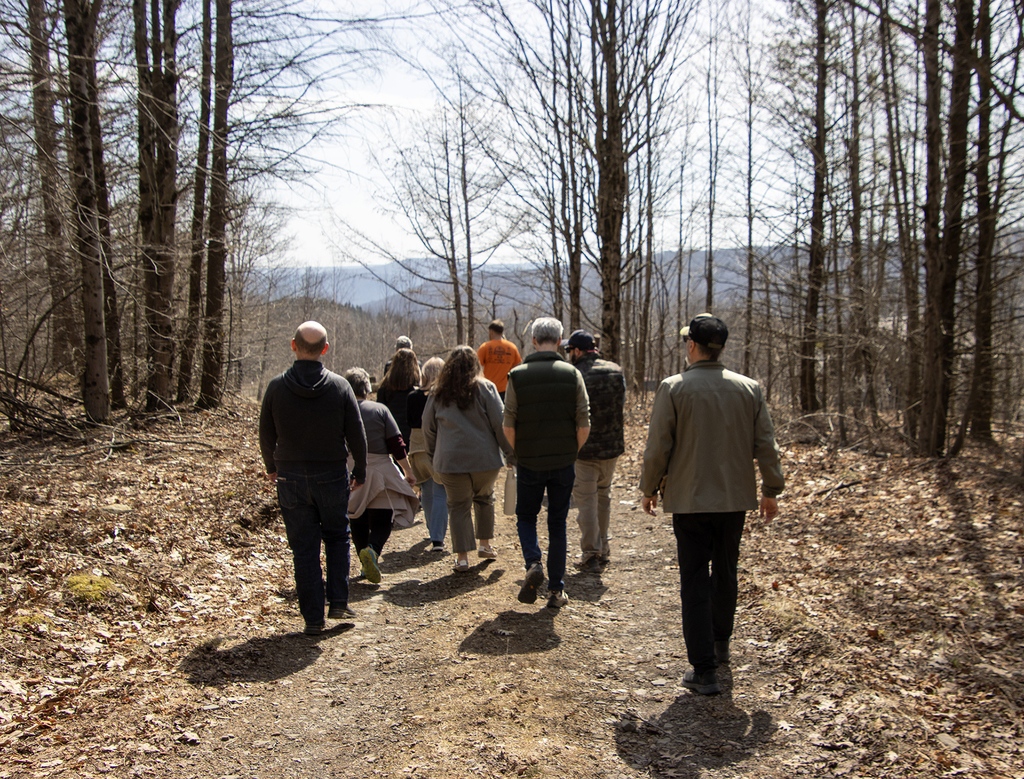 SSC staff walking in sugar bush (forest)