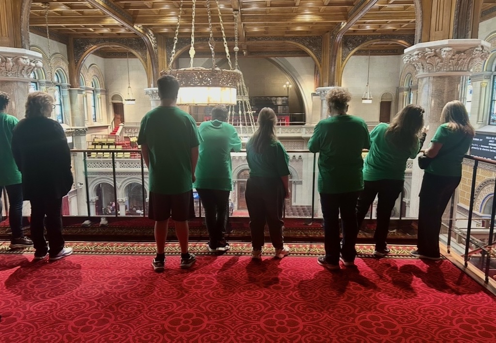 Students watch the legislature from the balcony