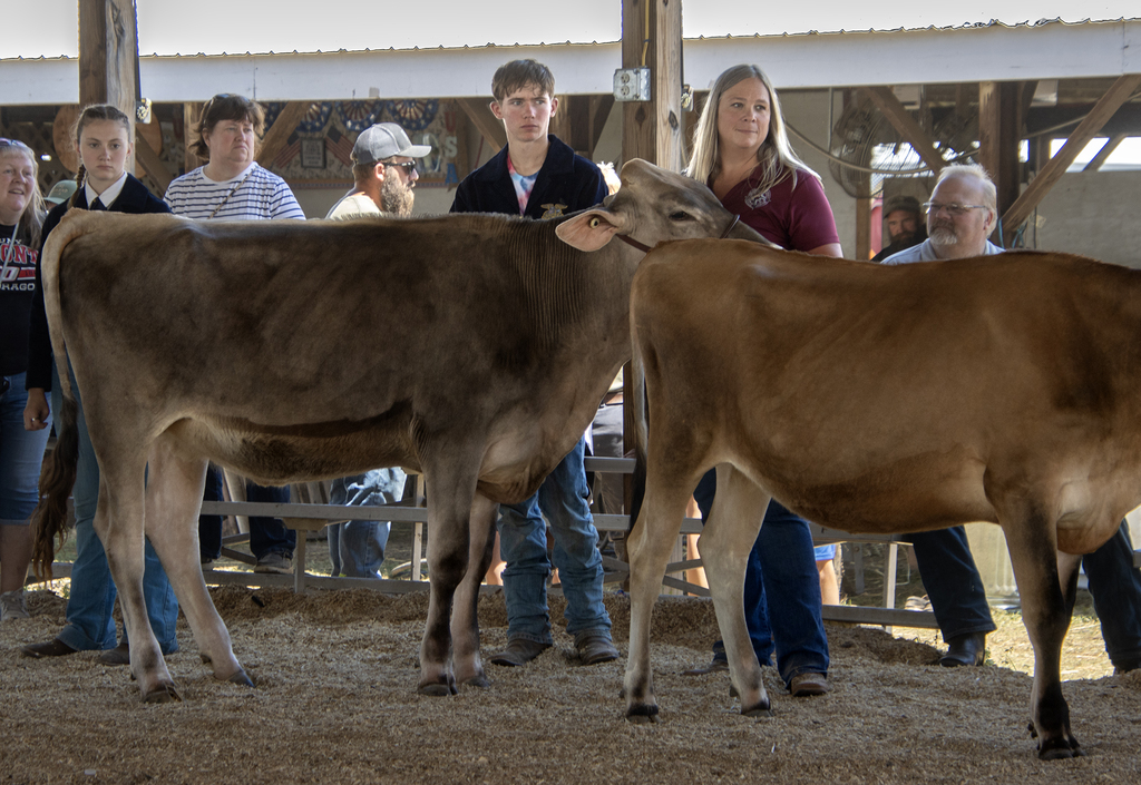 2 students ands Jenn Lawrence look toward judge in the show ring