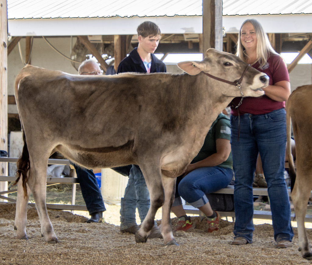 Jenn Lawrence and a student with a dairy cow in the show ring