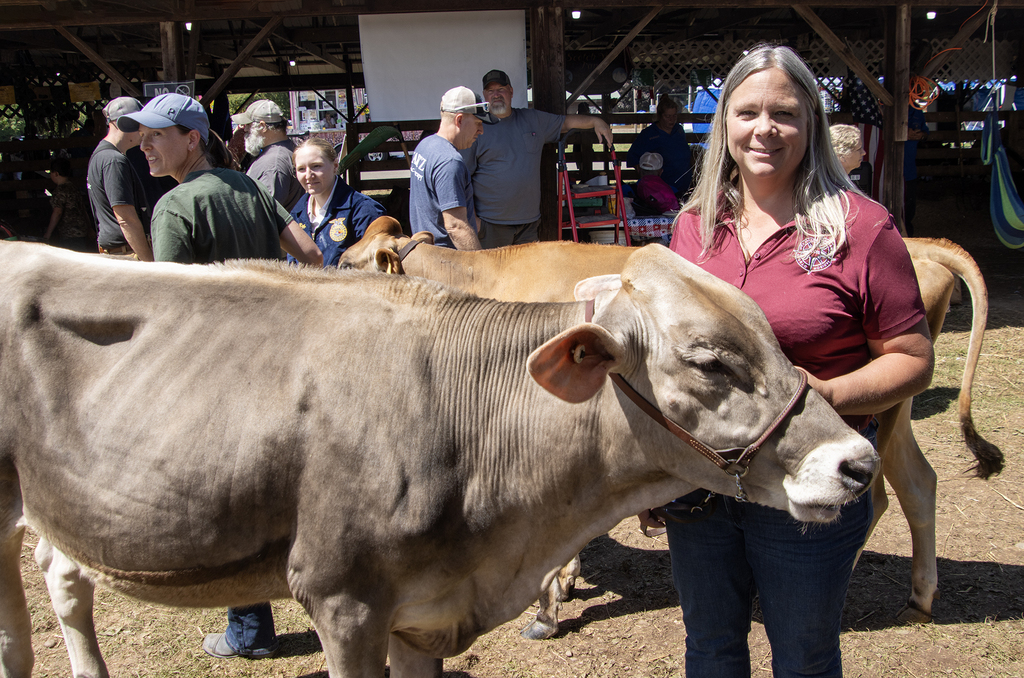Jennifer Lawrence holding leading a dairy cow