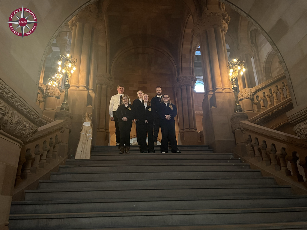 6 students pose on steps of NYS capitol