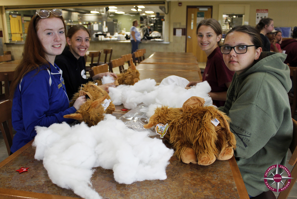 students stuffing bears