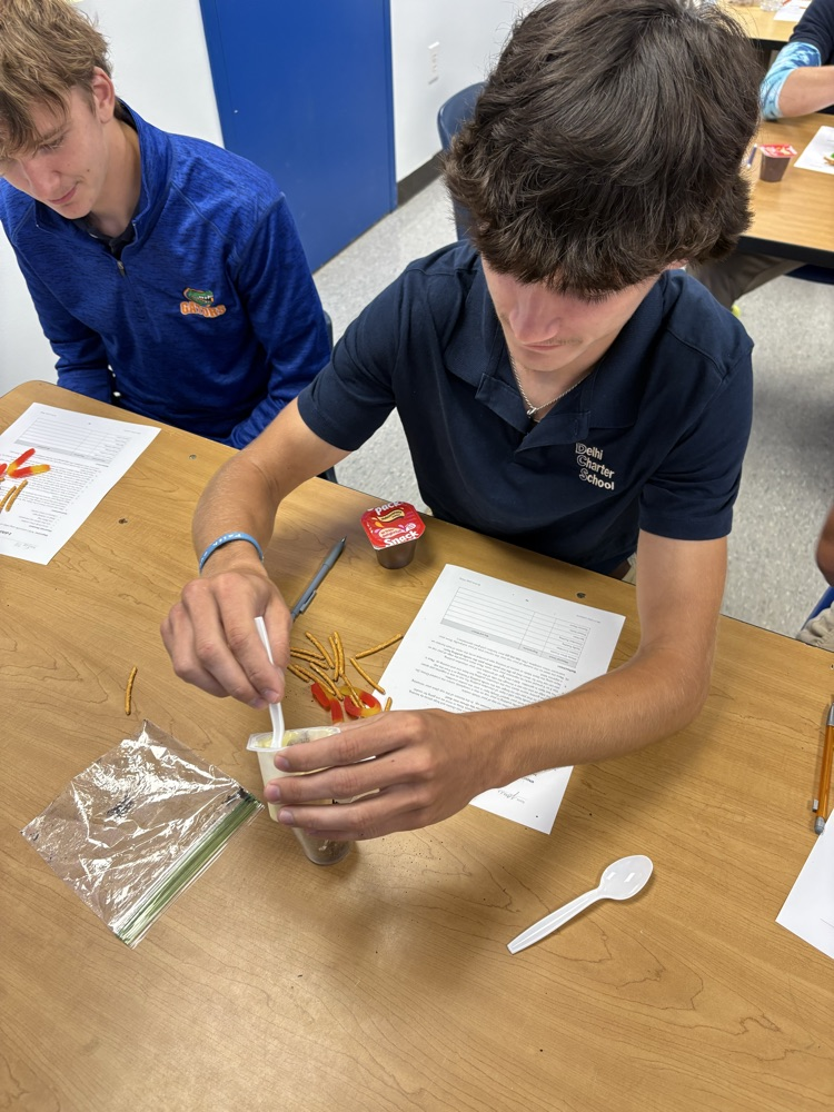 Soils Lab