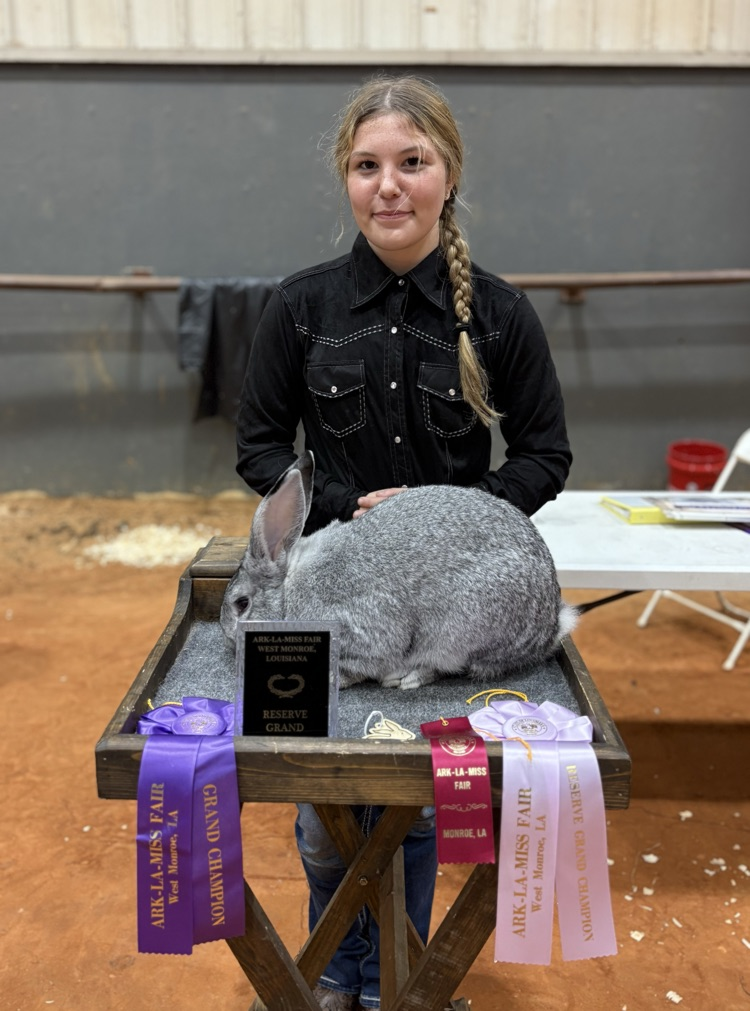 ARK-LA-MISS FAIR LIVESTOCK SHOW
