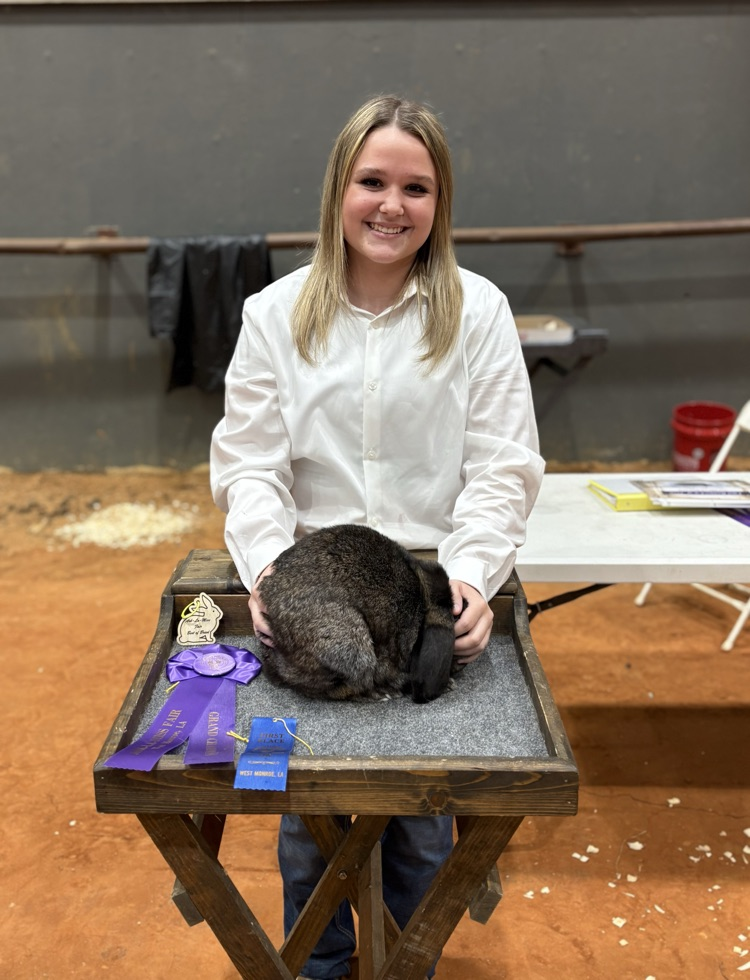 ARK-LA-MISS FAIR LIVESTOCK SHOW