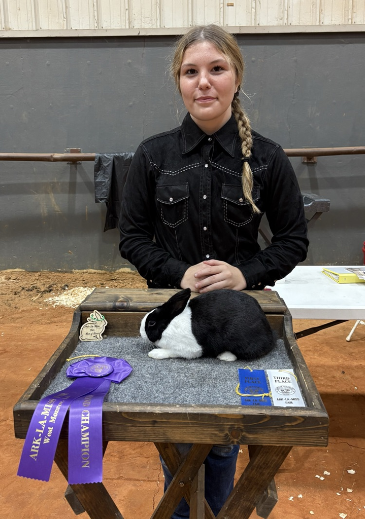ARK-LA-MISS FAIR LIVESTOCK SHOW
