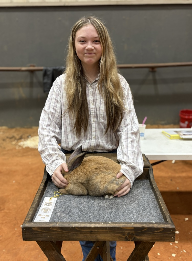 ARK-LA-MISS FAIR LIVESTOCK SHOW