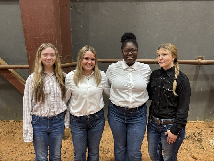 ARK-LA-MISS FAIR LIVESTOCK SHOW