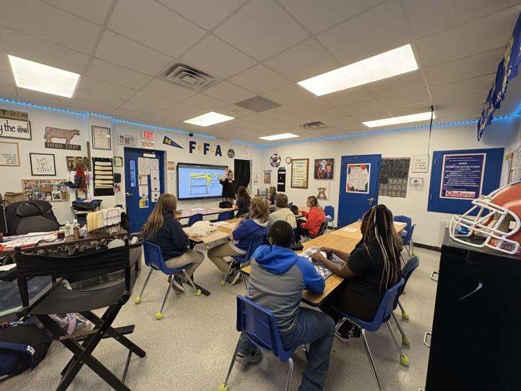 DCS FFA Rabbit Showmanship Clinic