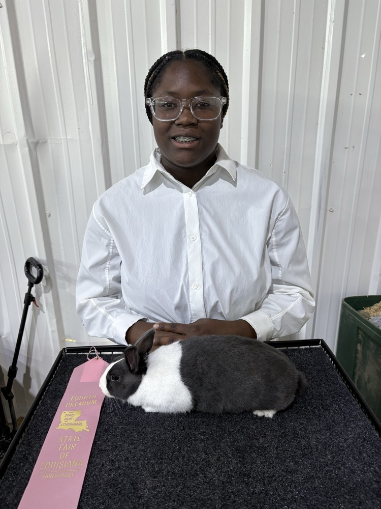 State Fair of LA Rabbit Show