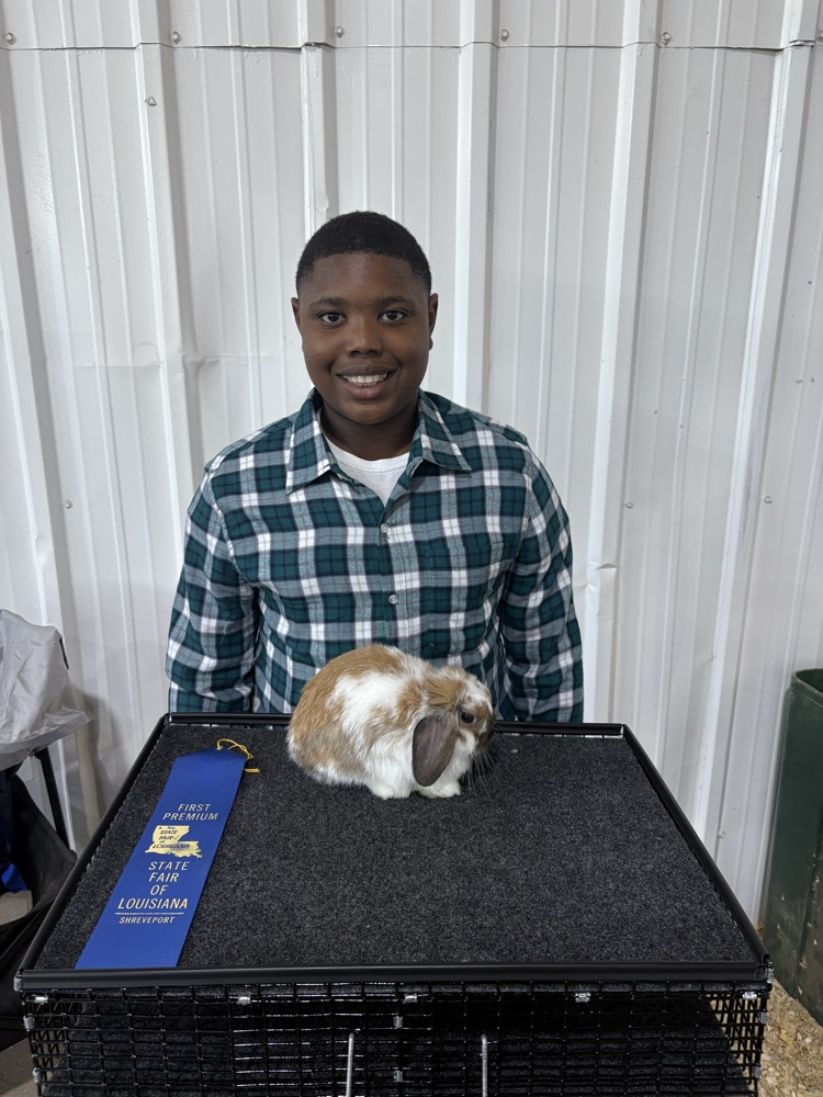 State Fair of LA Rabbit Show