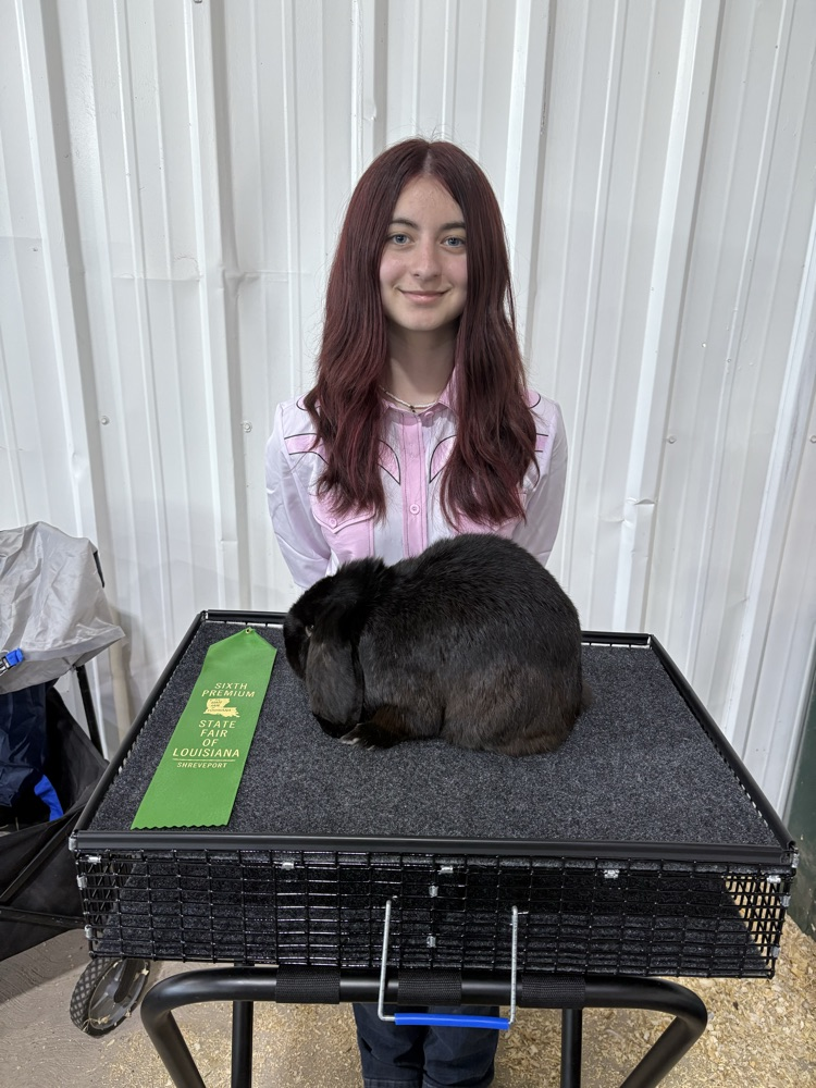State Fair of LA Rabbit Show