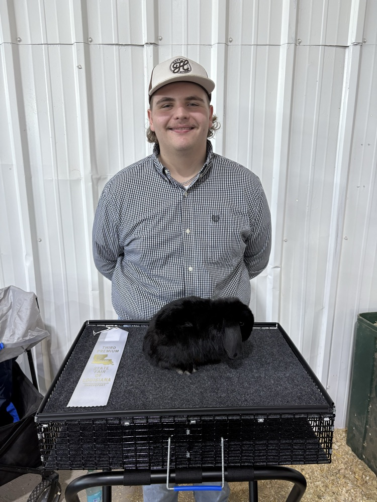 State Fair of LA Rabbit Show