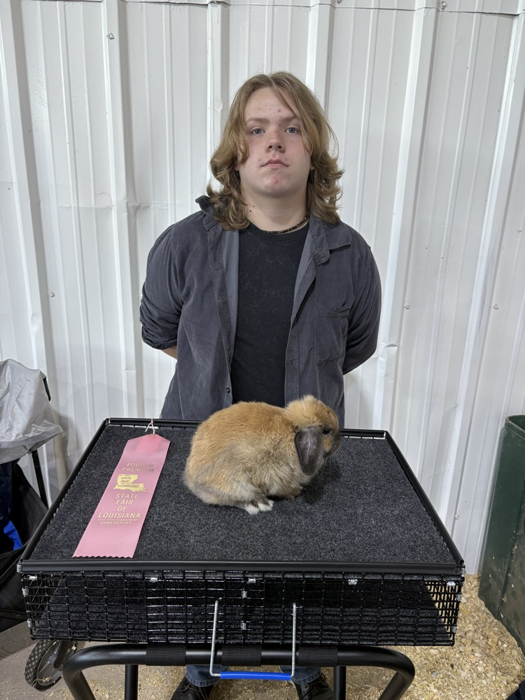 State Fair of LA Rabbit Show