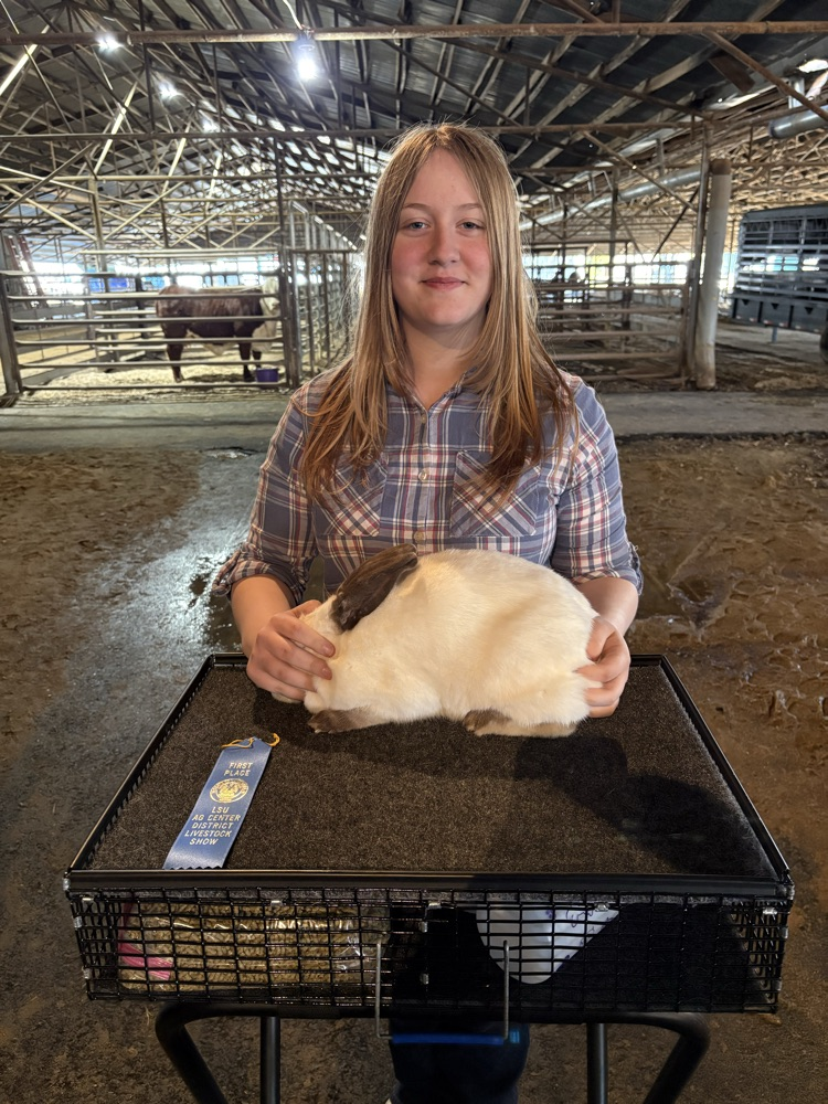 NELA District Livestock Show