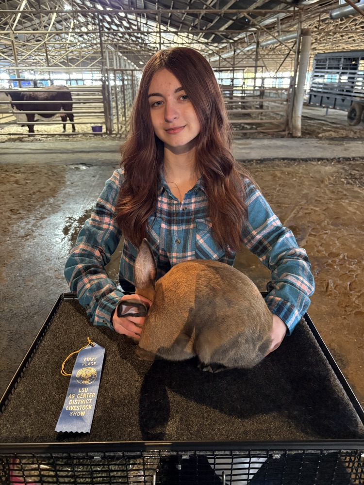 NELA District Livestock Show
