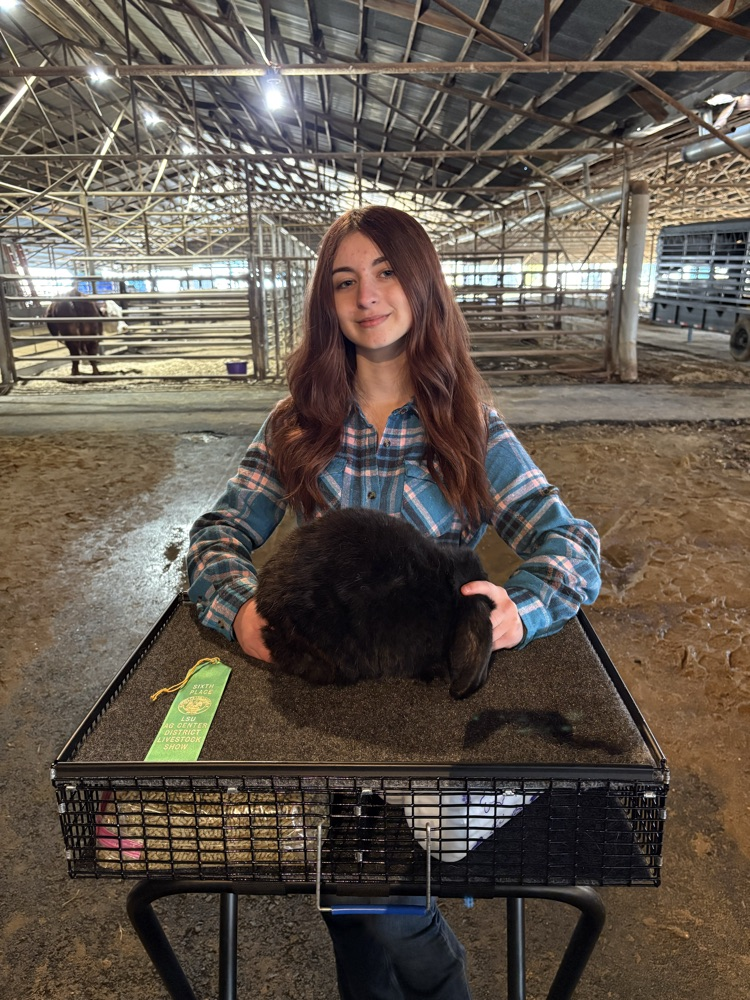 NELA District Livestock Show