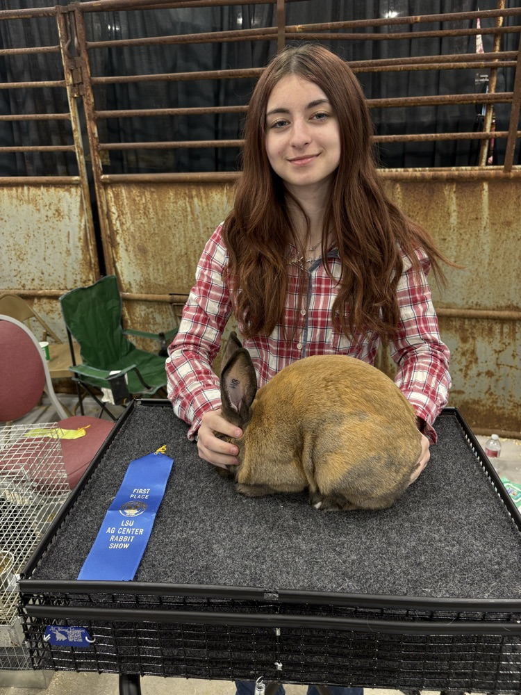 State Rabbit Show