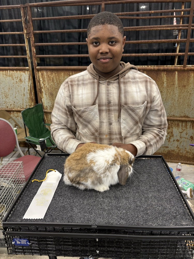 State Rabbit Show