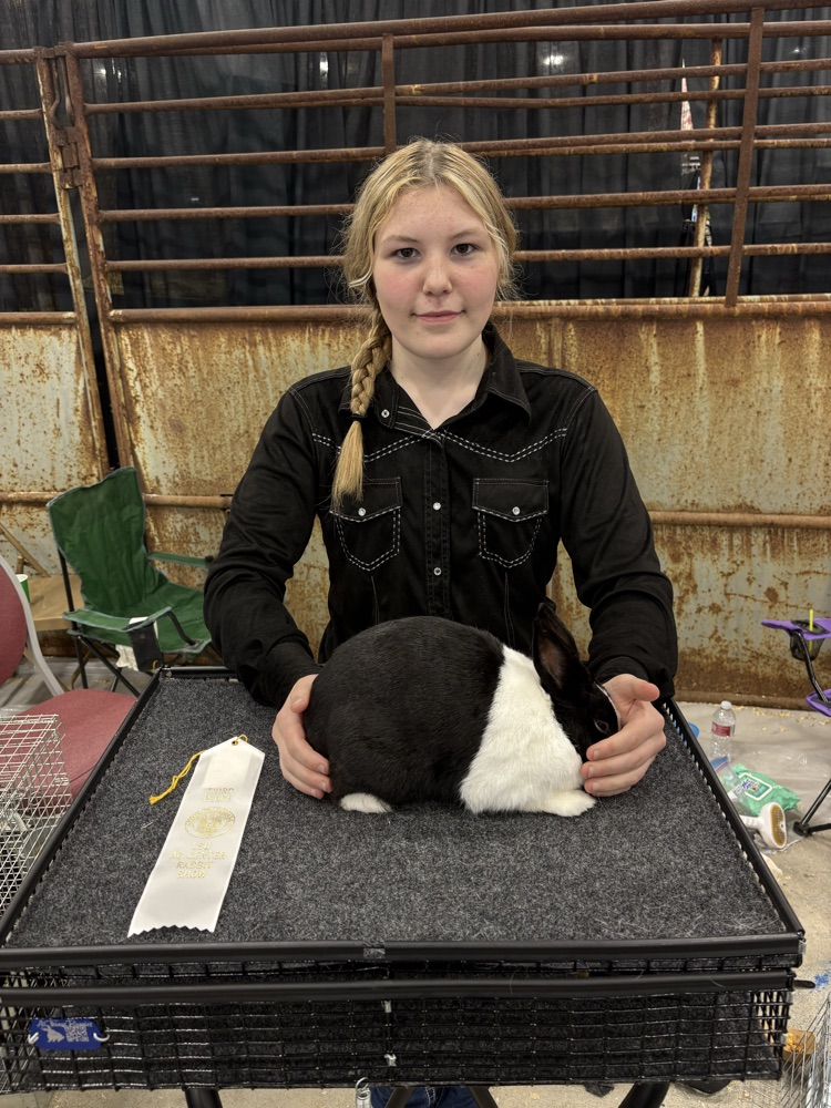 State Rabbit Show
