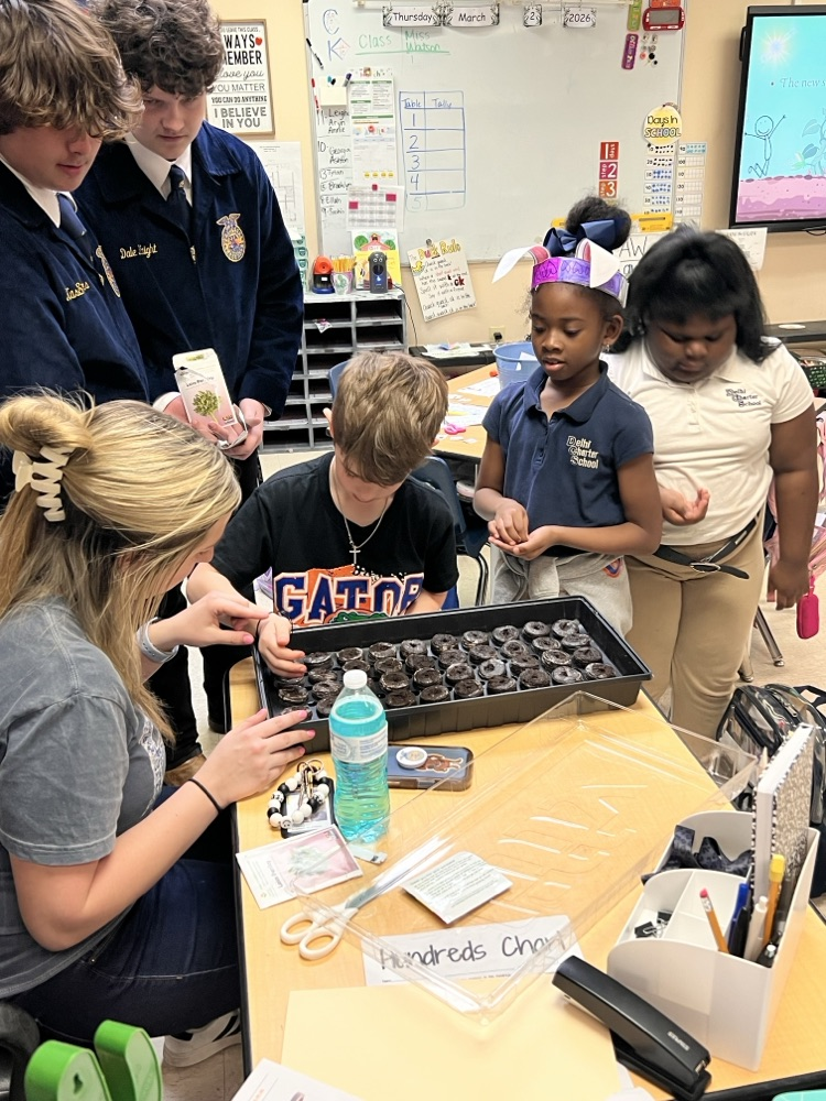 Seeds for the Future