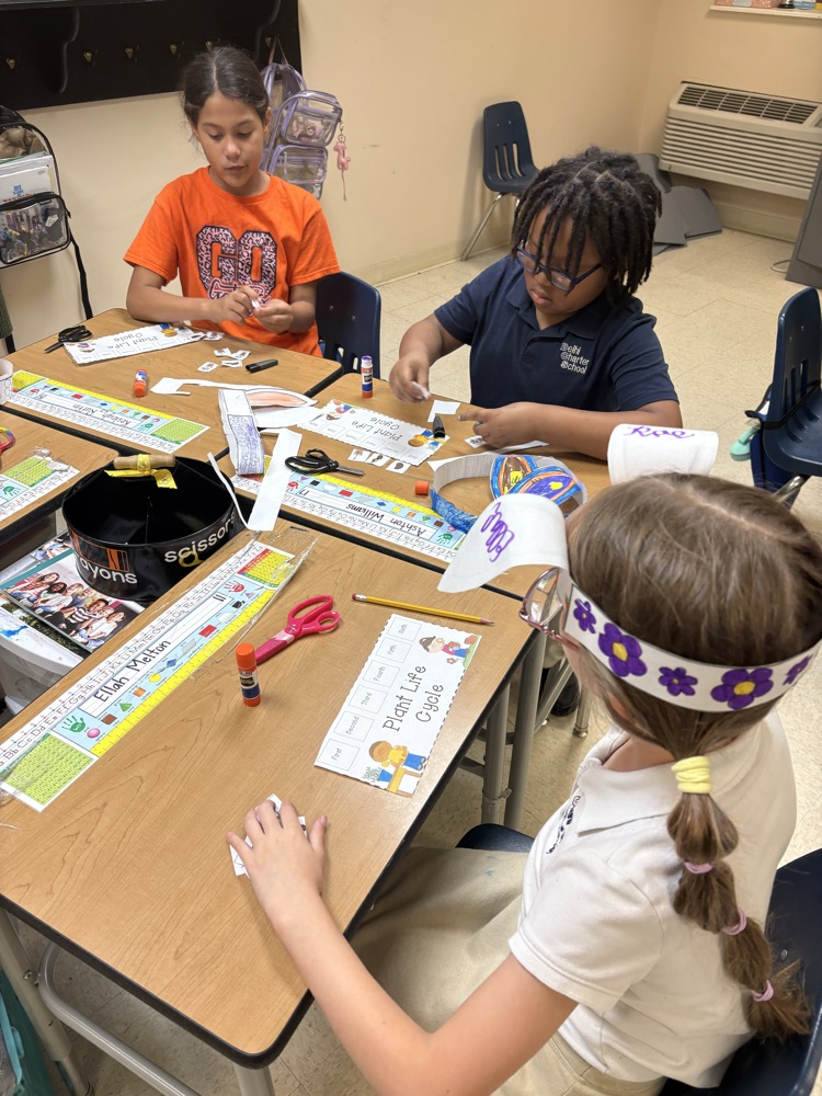 Seeds for the Future