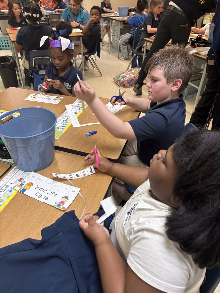 Seeds for the Future