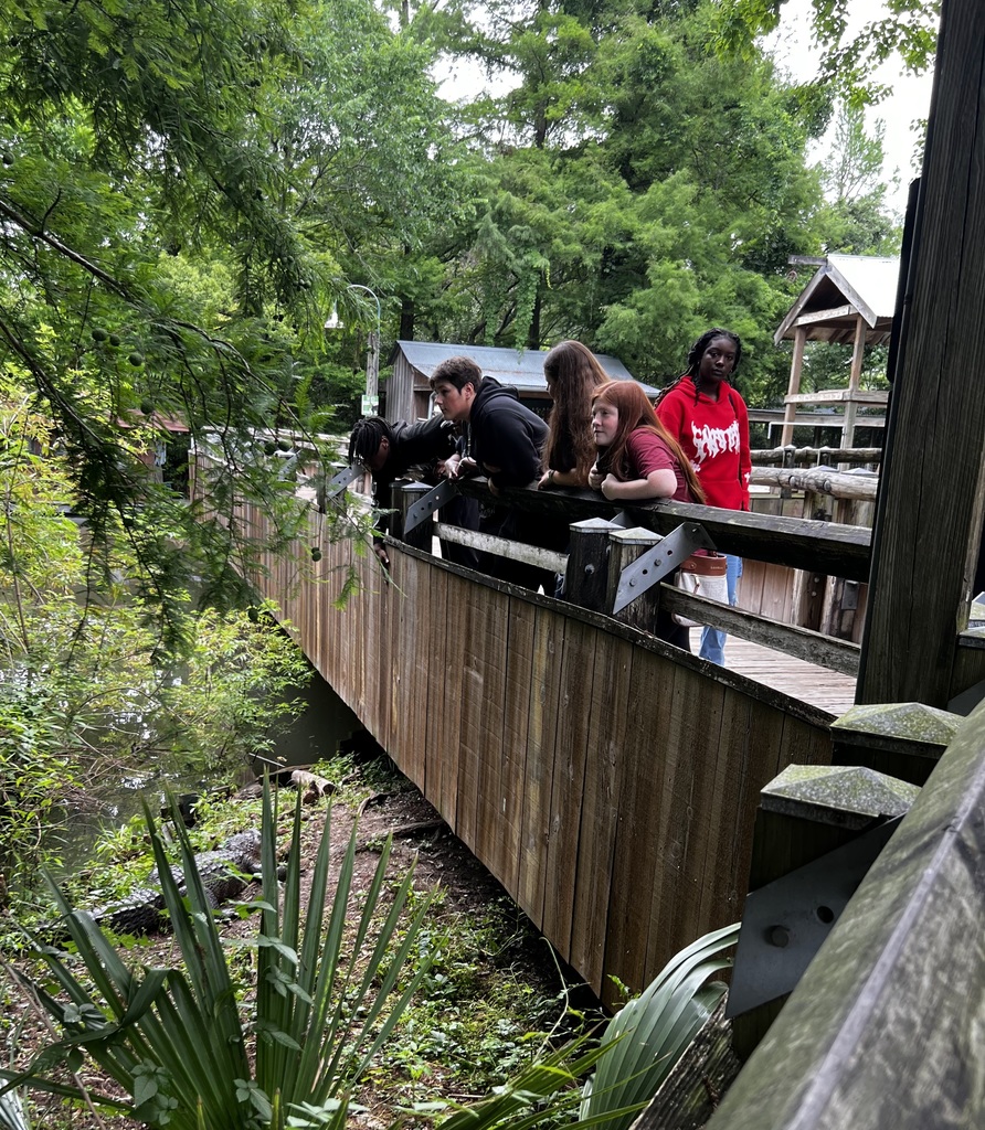 People observe from a wooden bridge over water, surrounded by trees and greenery. A small building is visible in the background.