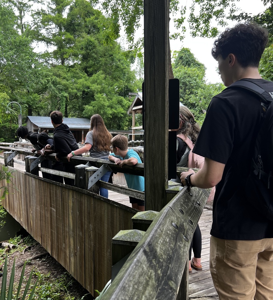 A group of people stand on a wooden bridge, looking at animals in an outdoor enclosure.