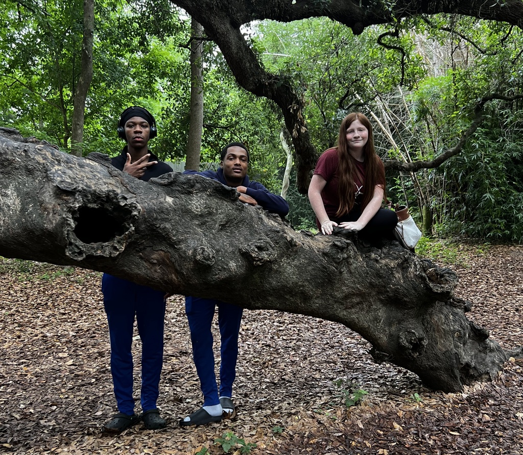 Three people stand behind a large tree in a forest. One person leans on the tree while the others sit.