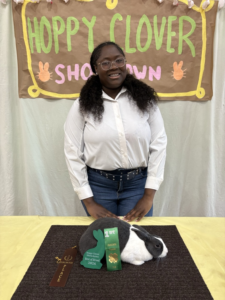 Hoppy Clover Rabbit Show