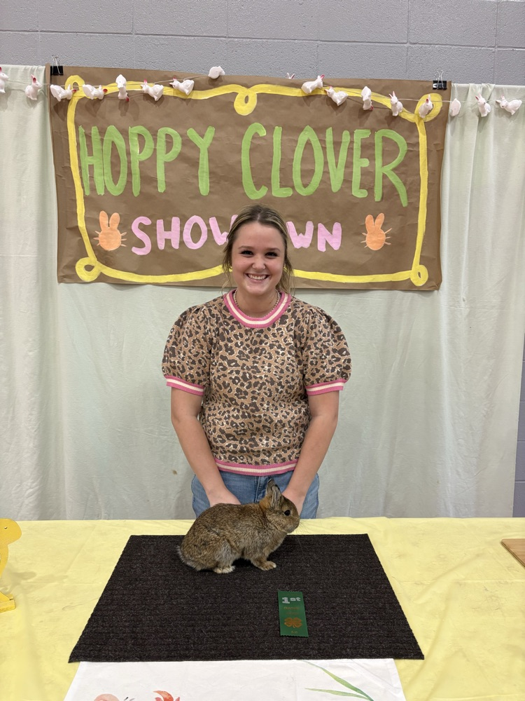 Hoppy Clover Rabbit Show
