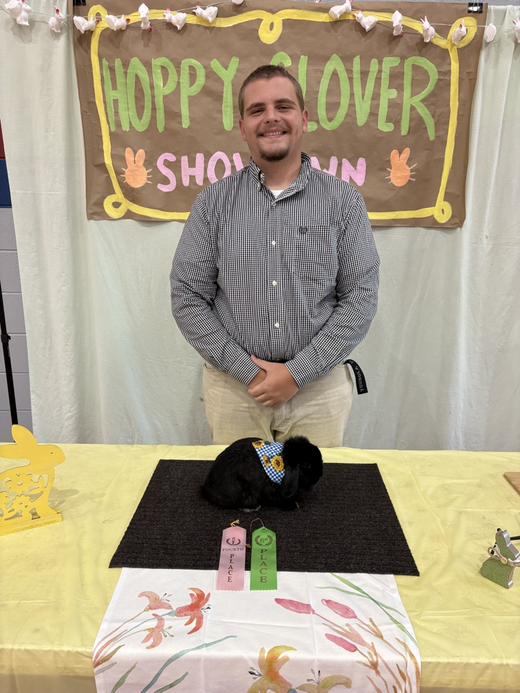 Hoppy Clover Rabbit Show