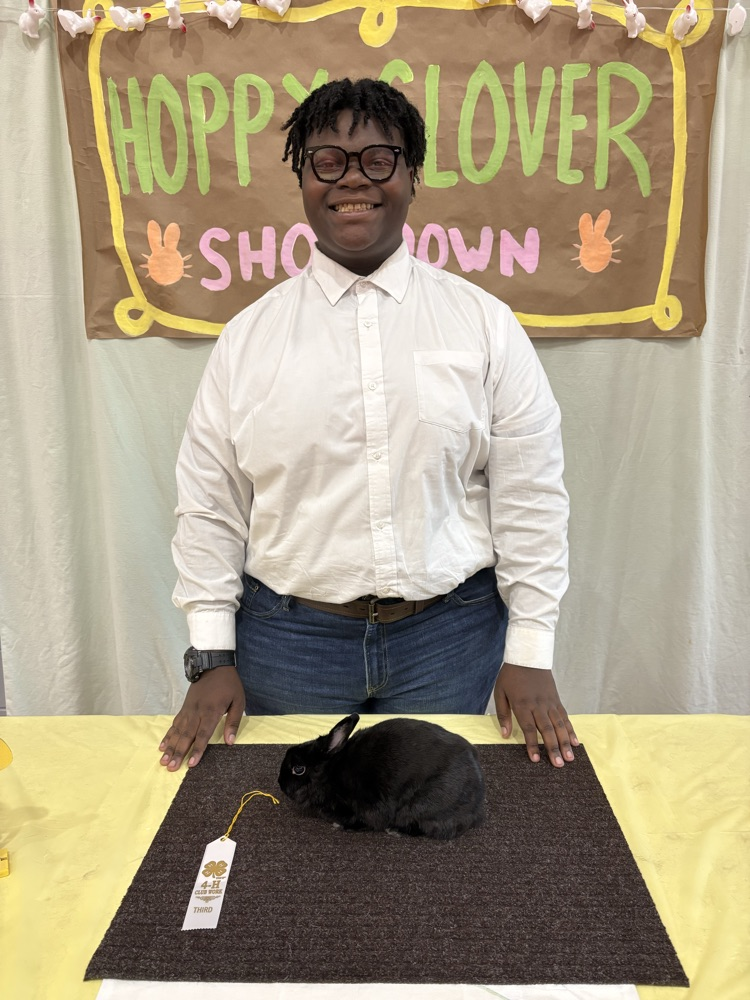 Hoppy Clover Rabbit Show
