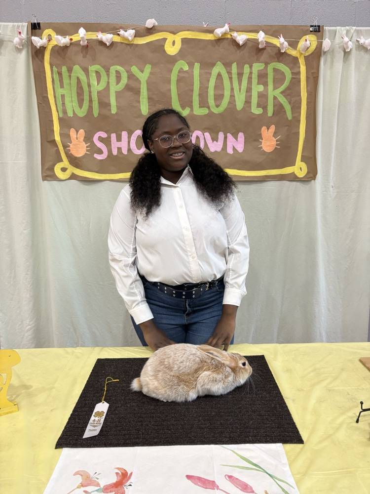 Hoppy Clover Rabbit Show
