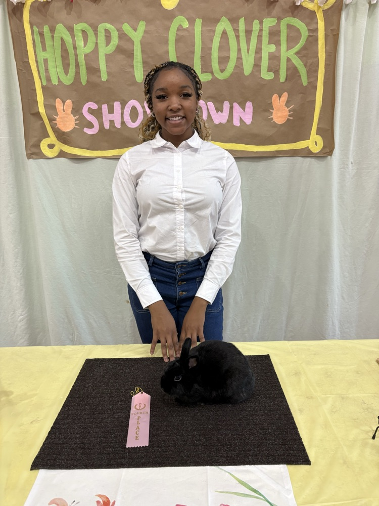 Hoppy Clover Rabbit Show