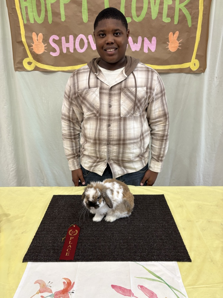 Hoppy Clover Rabbit Show