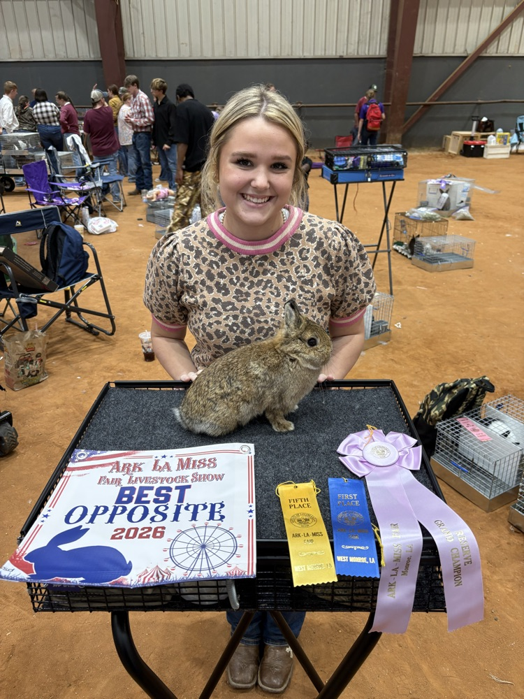 Ark-La-Miss Fair Livestock Show