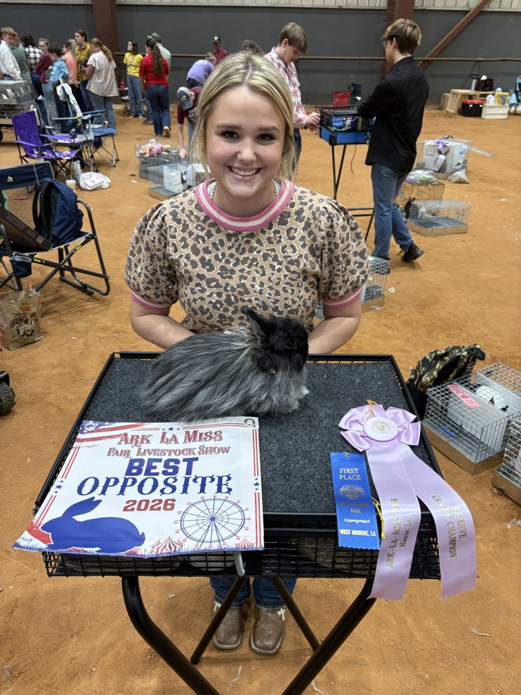Ark-La-Miss Fair Livestock Show