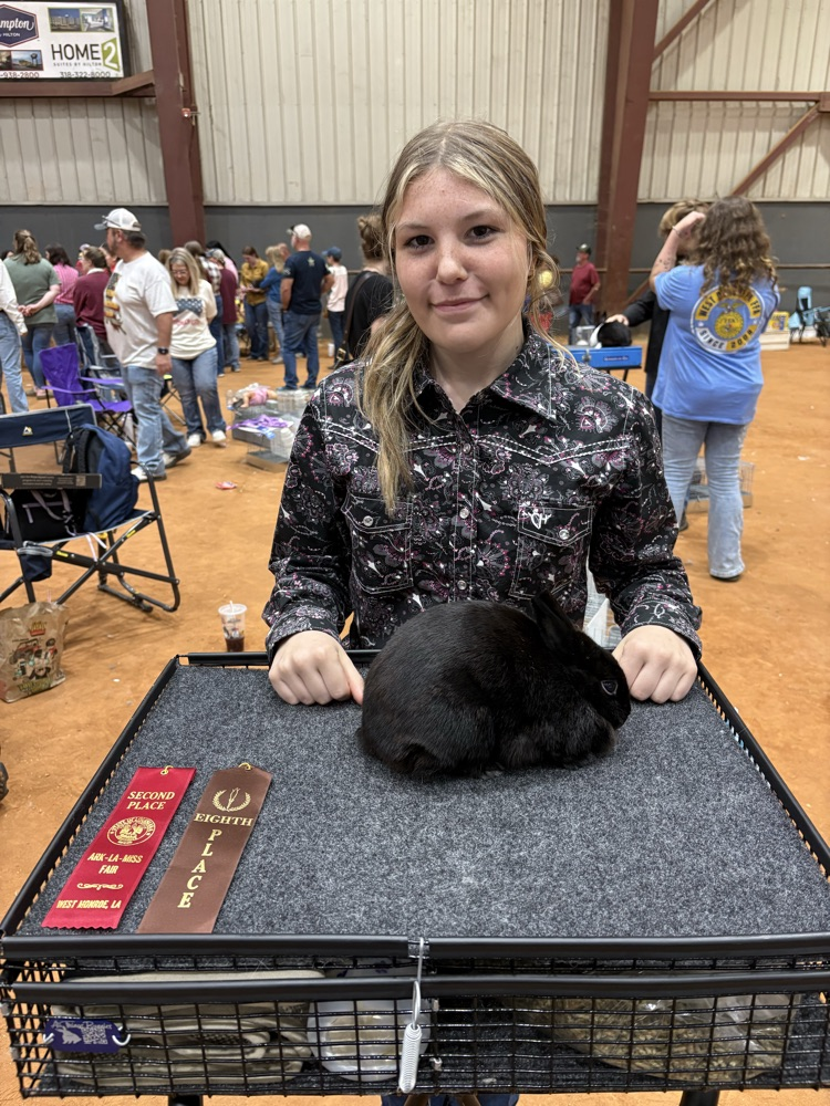 Ark-La-Miss Fair Livestock Show