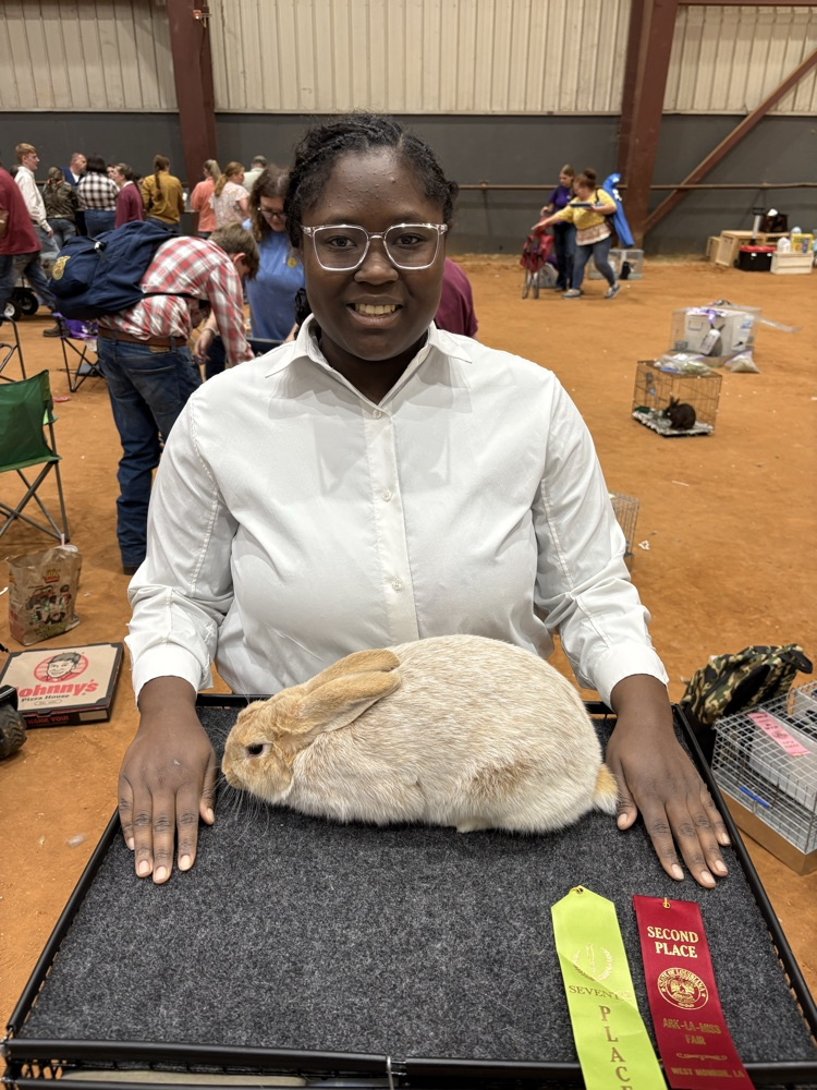 Ark-La-Miss Fair Livestock Show
