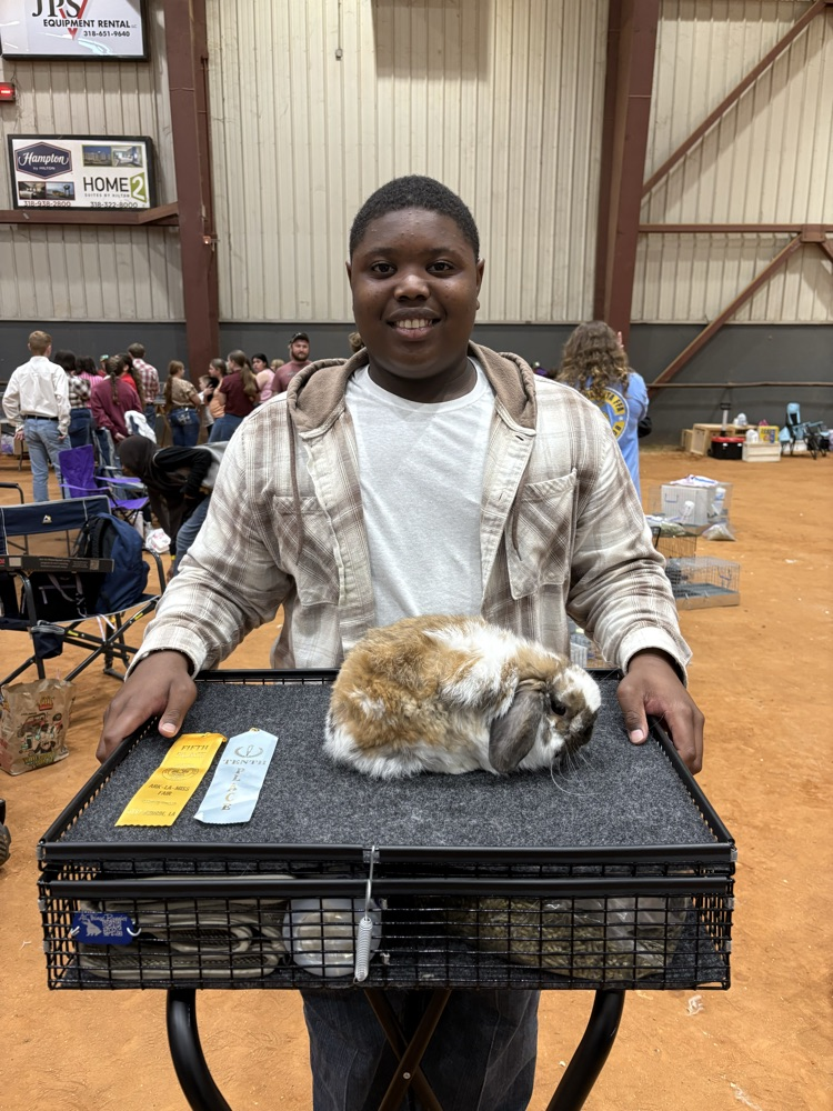 Ark-La-Miss Fair Livestock Show
